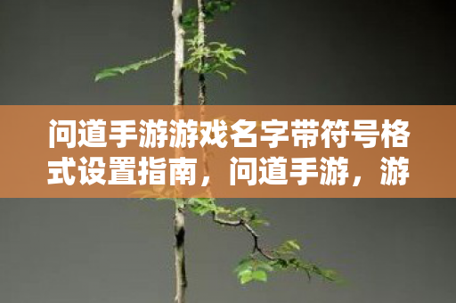 问道手游游戏名字带符号格式设置指南,问道手游,游戏名字带符号格式设置全攻略 问道手游游戏名字带符号格式设置指南,问道手游,游戏名字带符号格式设置全攻略