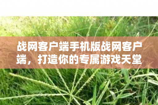 战网客户端手机版战网客户端,打造你的专属游戏天堂,战网客户端手机版,打造你的专属游戏天堂 战网客户端手机版战网客户端,打造你的专属游戏天堂,战网客户端手机版,打造你的专属游戏天堂