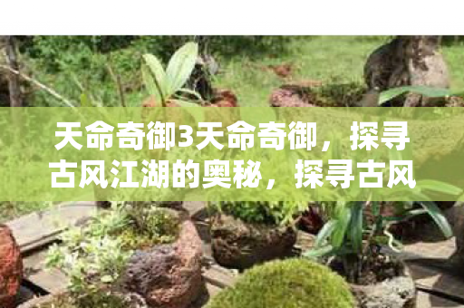 天命奇御3天命奇御，探寻古风江湖的奥秘，探寻古风江湖奥秘，天命奇御3天命奇御