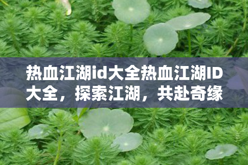 热血江湖id大全热血江湖ID大全，探索江湖，共赴奇缘，热血江湖ID大全，共赴奇缘，探索江湖
