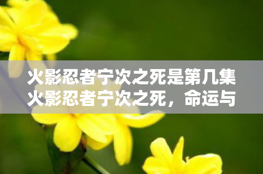 火影忍者宁次之死是第几集火影忍者宁次之死图片