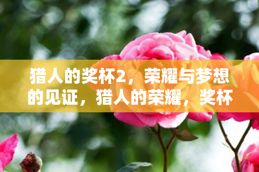 荣耀与梦想的见证图片