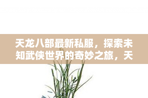 探索未知武侠世界的奇妙之旅图片