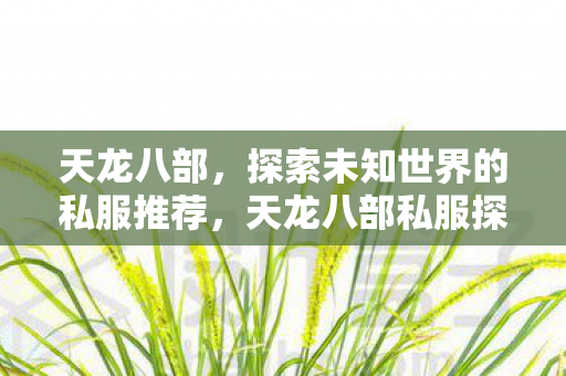 探索未知世界的私服推荐图片