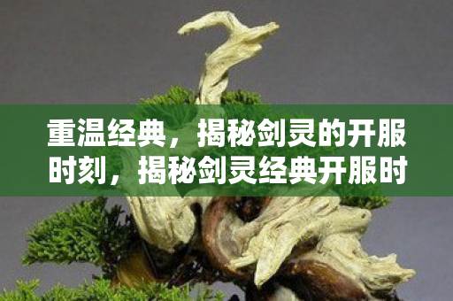 揭秘剑灵经典开服时刻图片