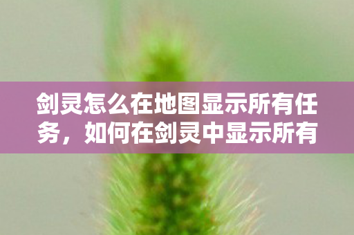 如何在剑灵中显示所有地图任务图片