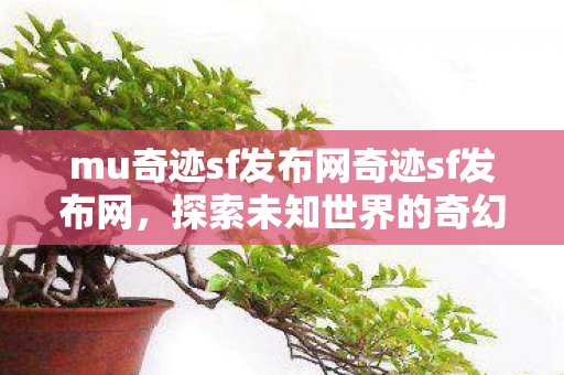 mu奇迹sf发布网奇迹sf发布网图片