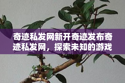 奇迹私发网新开奇迹发布奇迹私发网图片