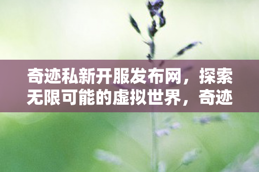奇迹私新开服探索虚拟世界之旅图片