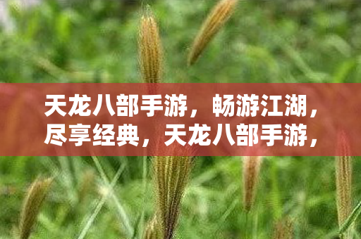 重温经典武侠梦图片