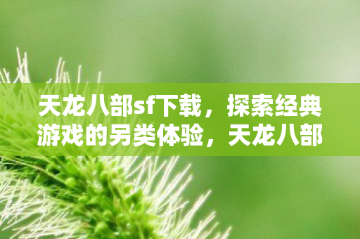 探索经典游戏的另类体验图片