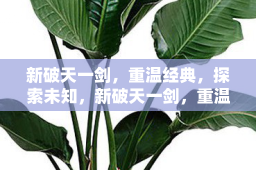 探索未知之旅图片
