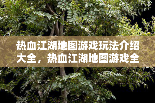热血江湖地图游戏玩法介绍大全图片