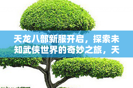 探索未知武侠世界的奇妙之旅图片
