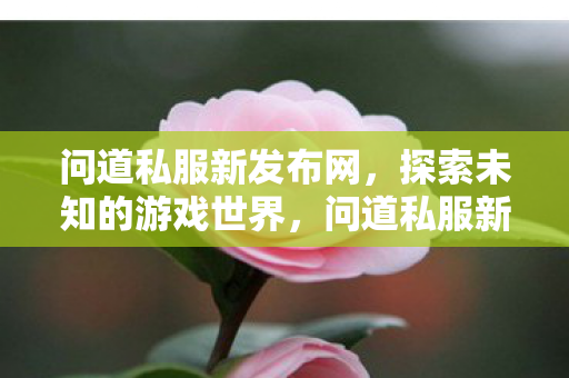 问道私服新发布网,探索未知的游戏世界,问道私服新发布网,探索未知的游戏世界 问道私服新发布网,探索未知的游戏世界,问道私服新发布网,探索未知的游戏世界