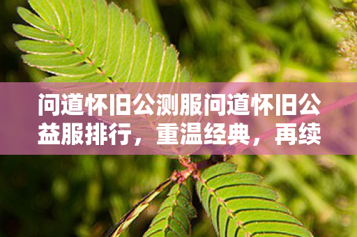 问道怀旧公测服问道怀旧公益服排行,重温经典,再续前缘,问道怀旧公益服排行,重温经典,再续前缘 问道怀旧公测服问道怀旧公益服排行,重温经典,再续前缘,问道怀旧公益服排行,重温经典,再续前缘