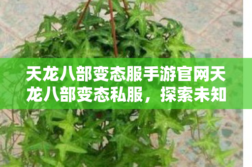 天龙八部变态服手游官网天龙八部变态私服图片