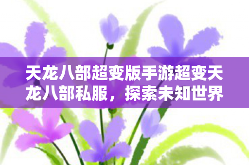 天龙八部超变版手游超变天龙八部私服图片