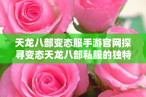 天龙八部变态服手游官网探寻变态天龙八部私服的独特魅力图片