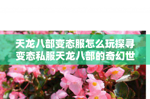 天龙八部变态服怎么玩探寻变态私服天龙八部的奇幻世界图片