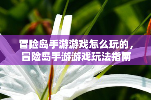 冒险岛手游游戏怎么玩的图片