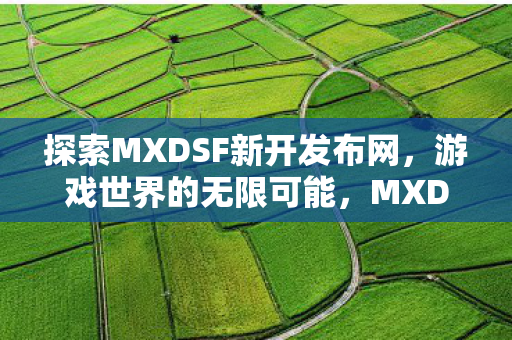 探索MXDSF新开发布网图片