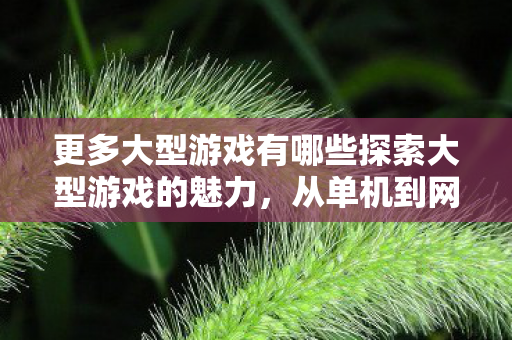更多大型游戏有哪些探索大型游戏的魅力，从单机到网游的无限可能，探索大型游戏的魅力，从单机到网游的无限可能