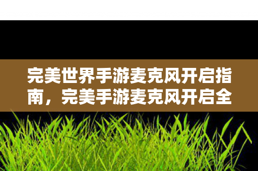 完美世界手游麦克风开启指南图片
