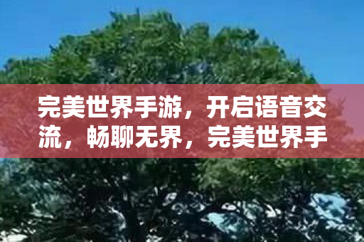 完美世界手游开启语音交流图片