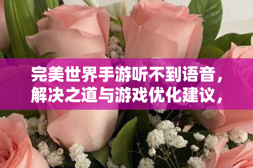 完美世界手游听不到语音图片