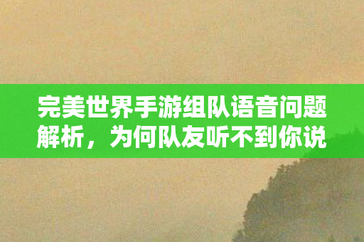 完美世界手游组队语音为何队友听不到你说话图片