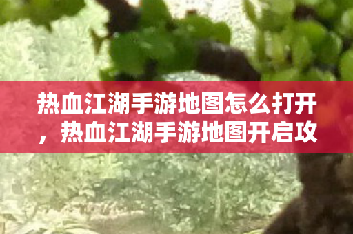 热血江湖手游地图怎么打开图片