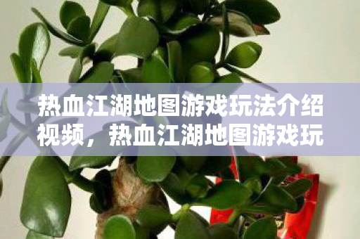 热血江湖地图游戏玩法介绍视频图片