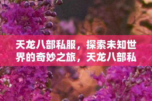 探索未知世界的奇妙冒险之旅图片