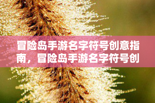 冒险岛手游名字符号创意指南图片