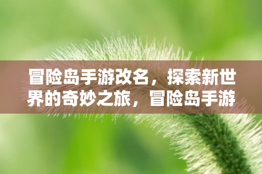 探索新世界的奇妙之旅图片