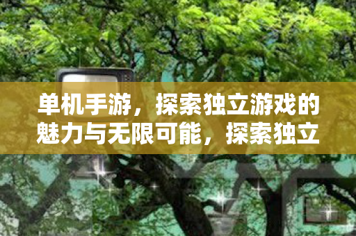 探索独立游戏的魅力与无限可能图片