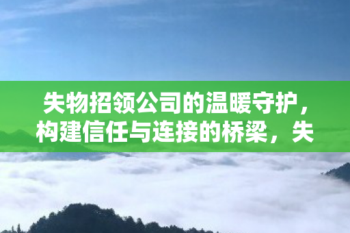 失物招领公司的温暖守护图片