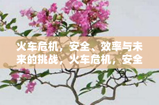 效率与未来的挑战图片