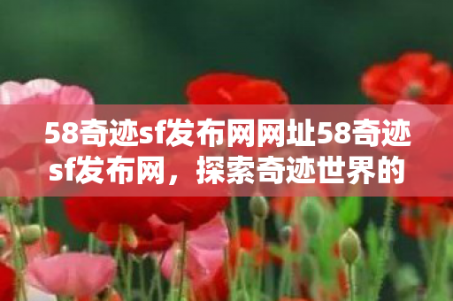 58奇迹sf发布网网址58奇迹sf发布网图片