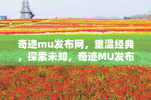 奇迹mu发布网图片