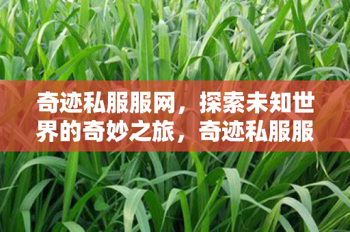开启探索未知世界的奇妙旅程图片