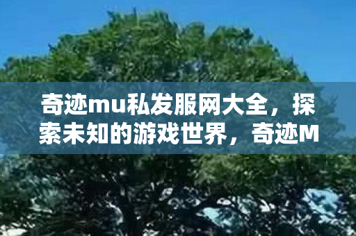 解锁未知游戏世界的神秘之旅图片