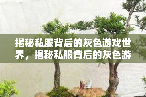 揭秘私服背后的灰色游戏世界图片