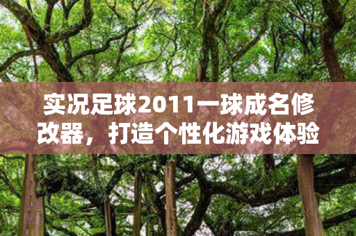 实况足球2011一球成名修改器图片