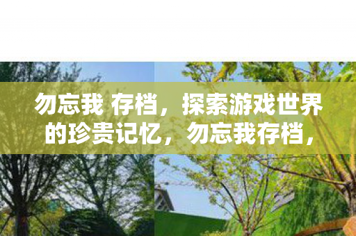 探索游戏世界的珍贵记忆图片