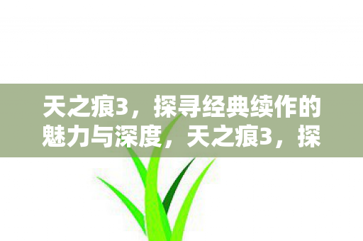探寻经典续作的魅力与深度图片