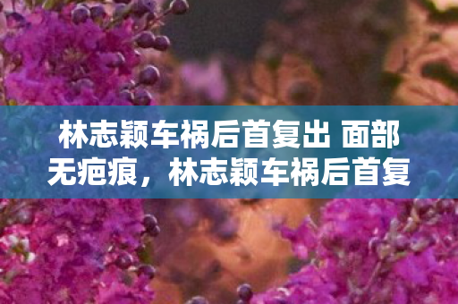 林志颖车祸后首复出 面部无疤痕图片