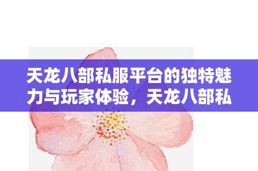 天龙八部私服平台的独特魅力与玩家体验图片