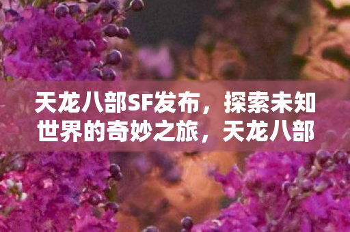探索未知世界的奇妙之旅图片